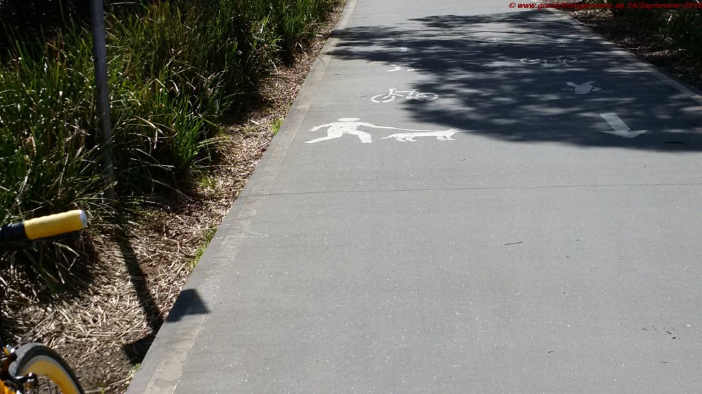 Shared bike path, allowed for bikers, pedestrians and for ... running people with dogs??