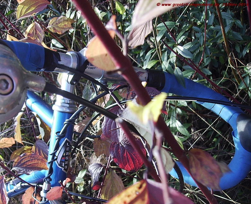 Stylish steel bike in splendid fall-colored environment