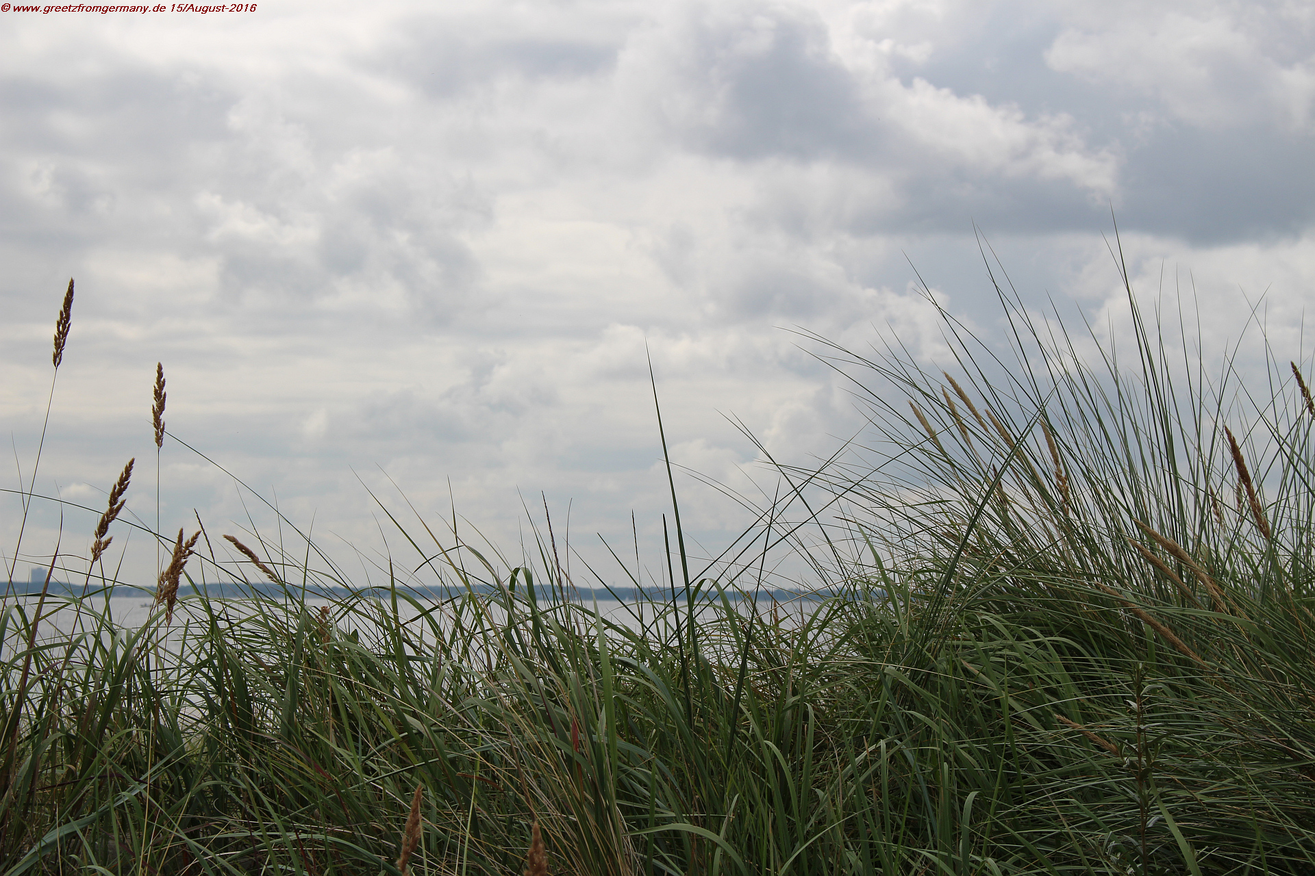 Beach grass, sand, water and clouds - the view opens wide unto the Baltic Sea at the beaches of little villages like Scharbeutz